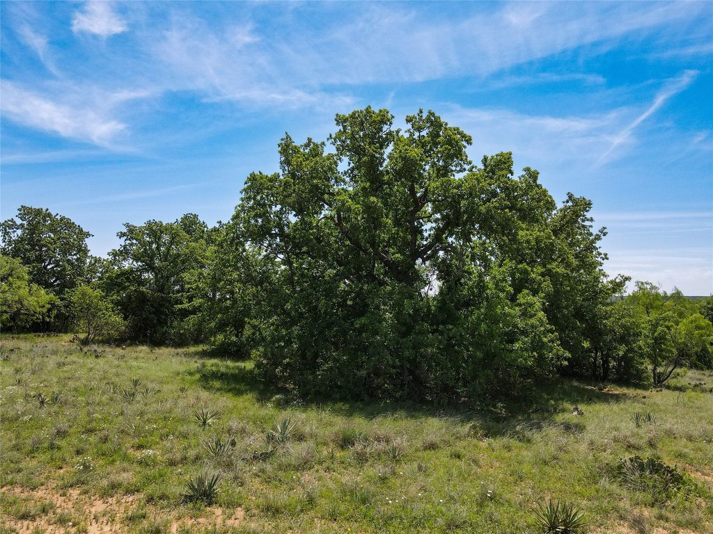Picture 22