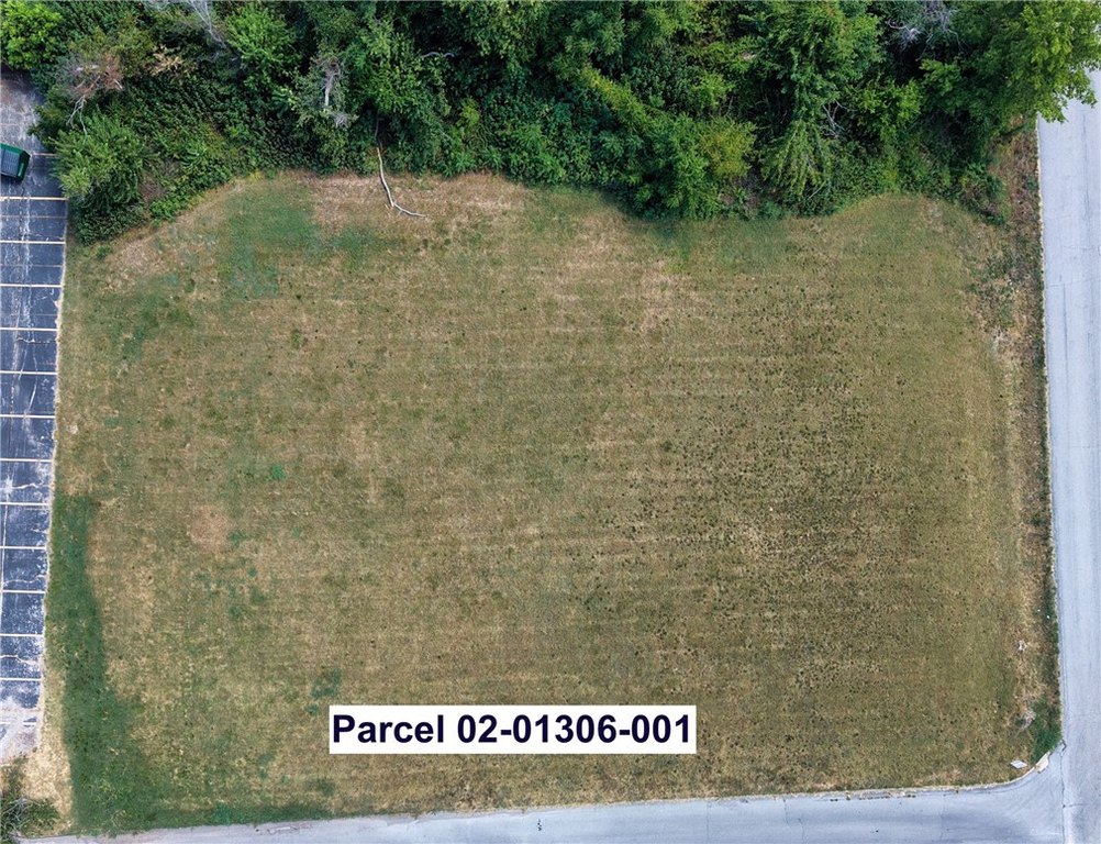 Picture 14