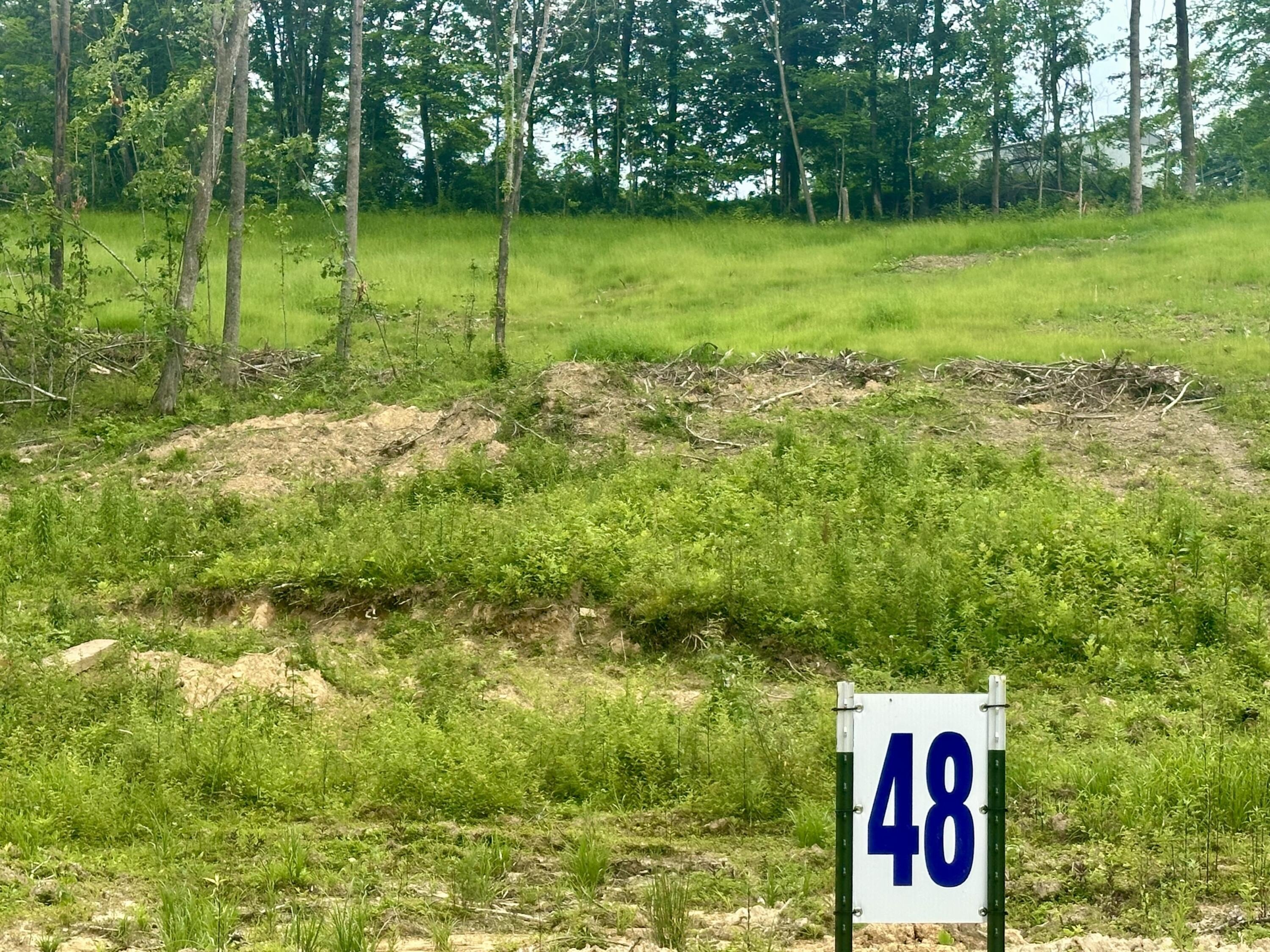 Residential Building Lots in Corbin
