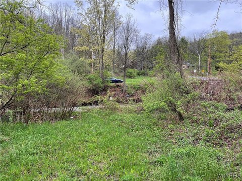 37+ Acres in Horseheads, NY