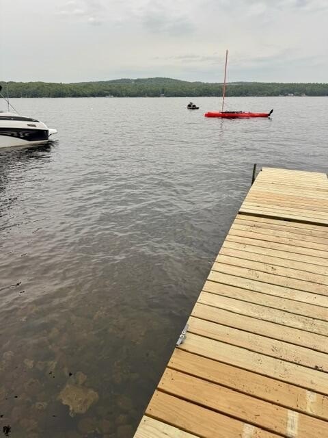 Picture 8