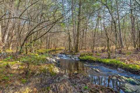Mena, AR Wooded Land