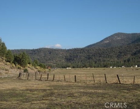 Expansive Land Backing National Forest