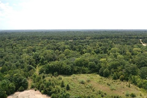 LAND - Buffalo, TX