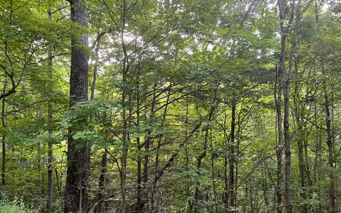Brasstown Land with Mountain Views