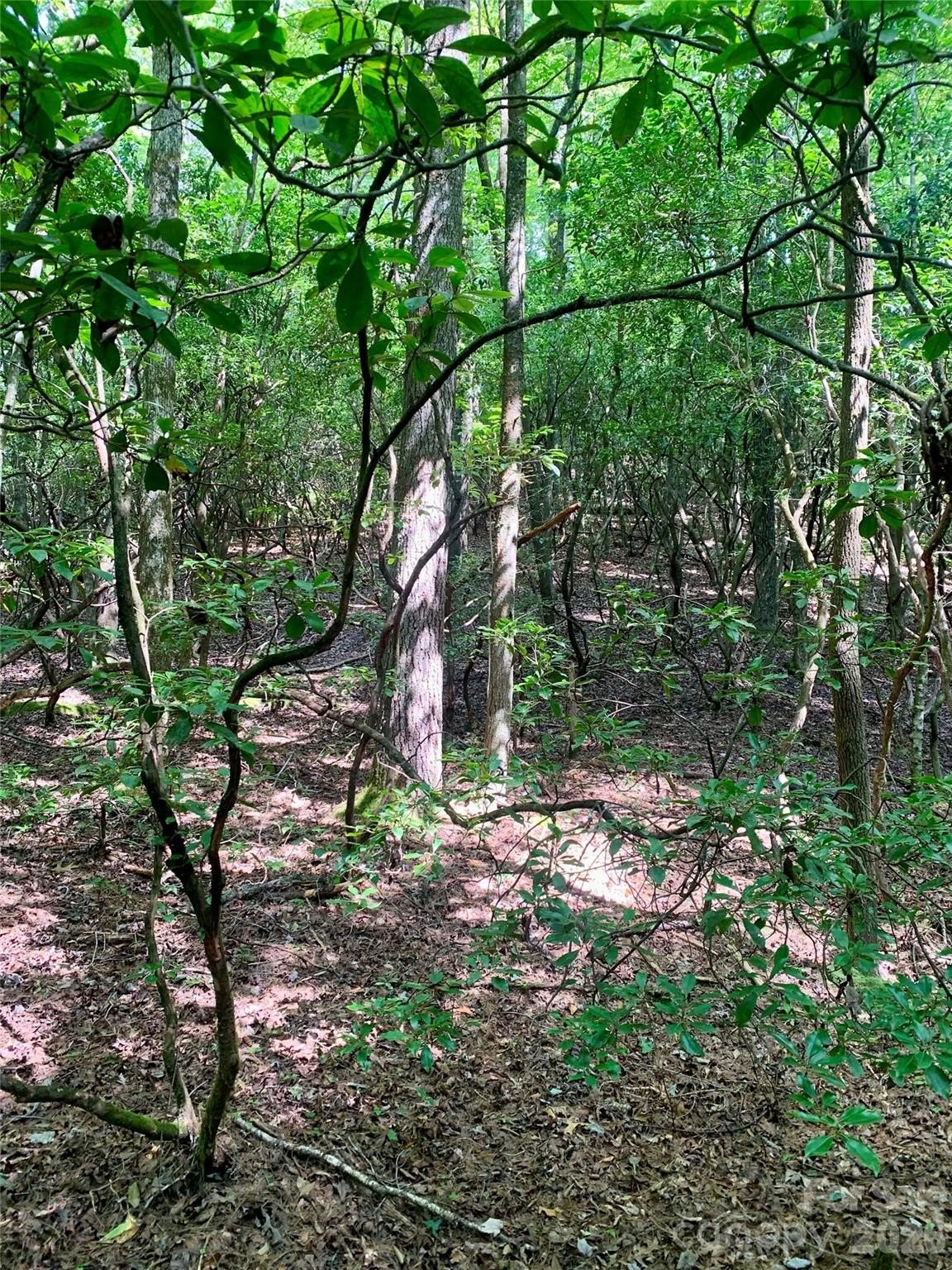Brevard Land Near Gorges Park