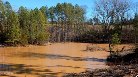Grenada County Land with Pond
