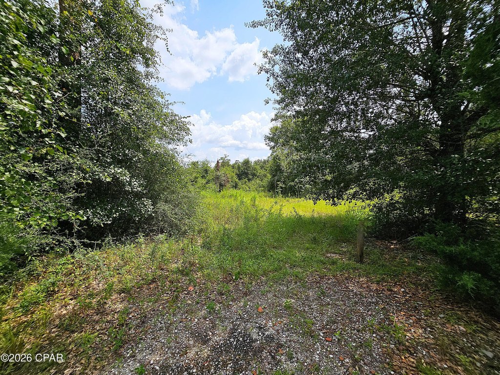 Picture 5