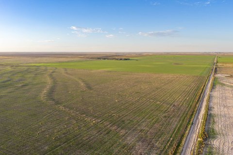 Cropland with Road Access