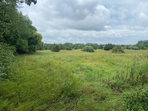 98 Acres in Grass Lake