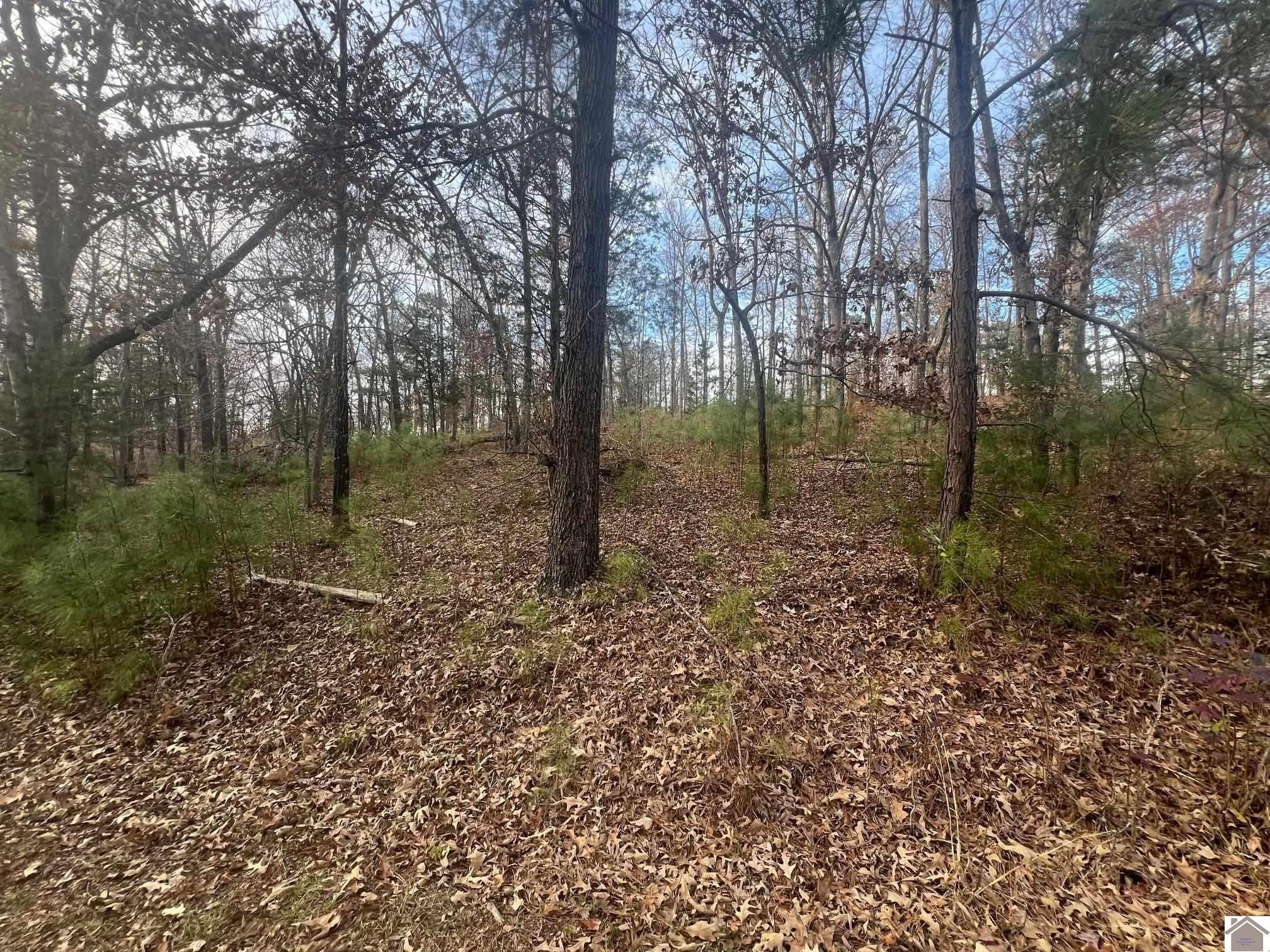 Residential Land Near Kentucky Lake