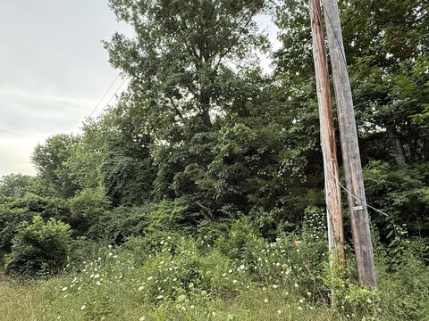 Lake Area Building Lot