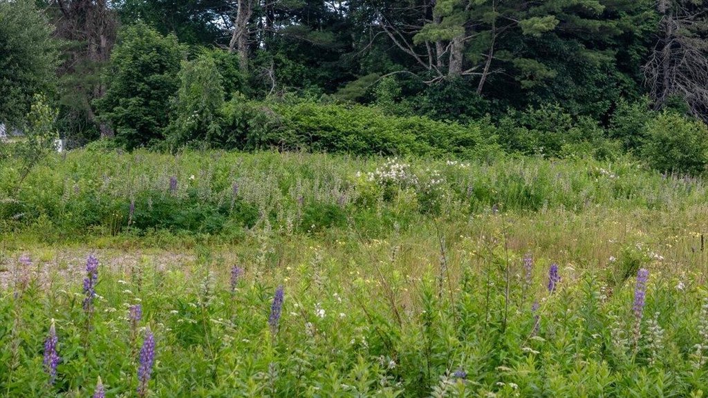 Picture 35