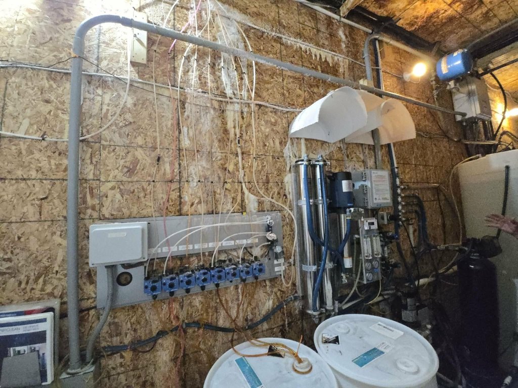 Picture 11
