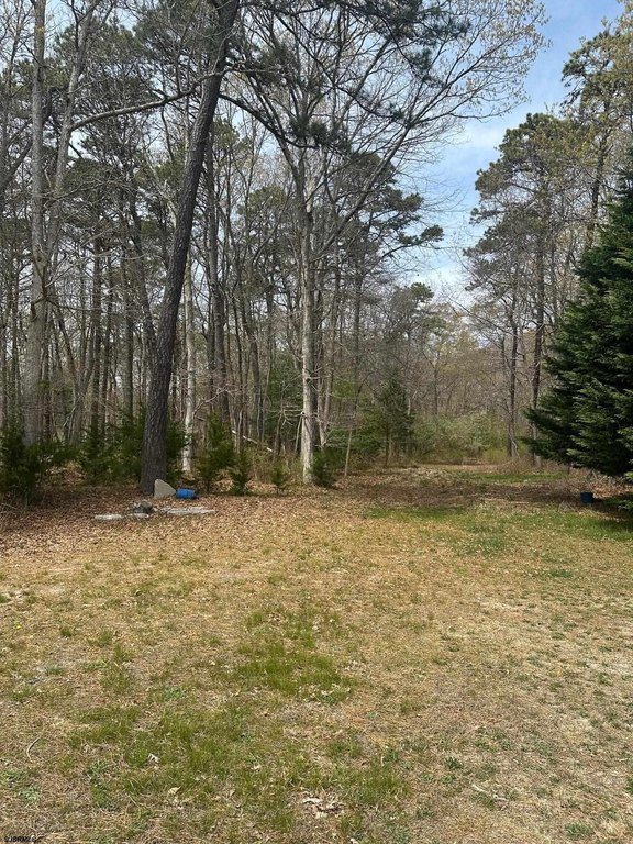 Picture 2