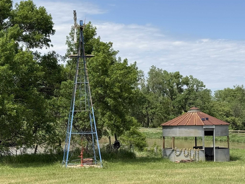 Picture 6