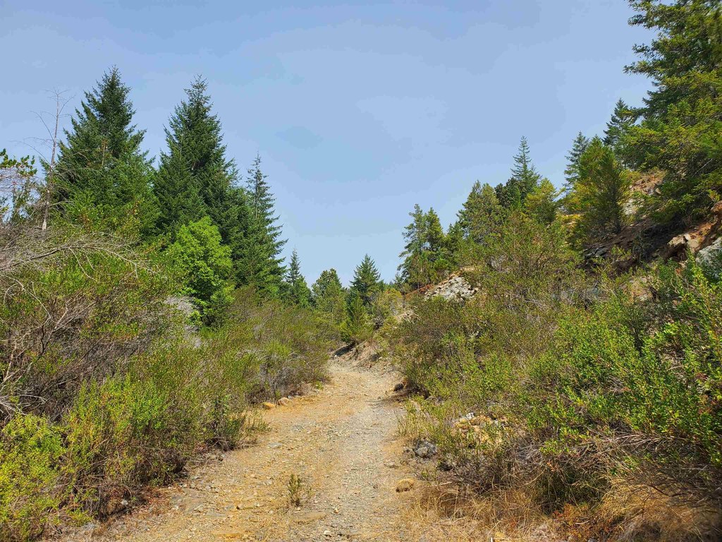 Picture 21