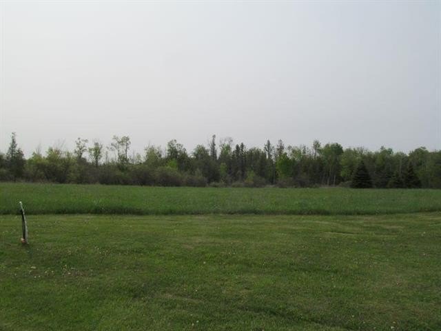 Picture 19