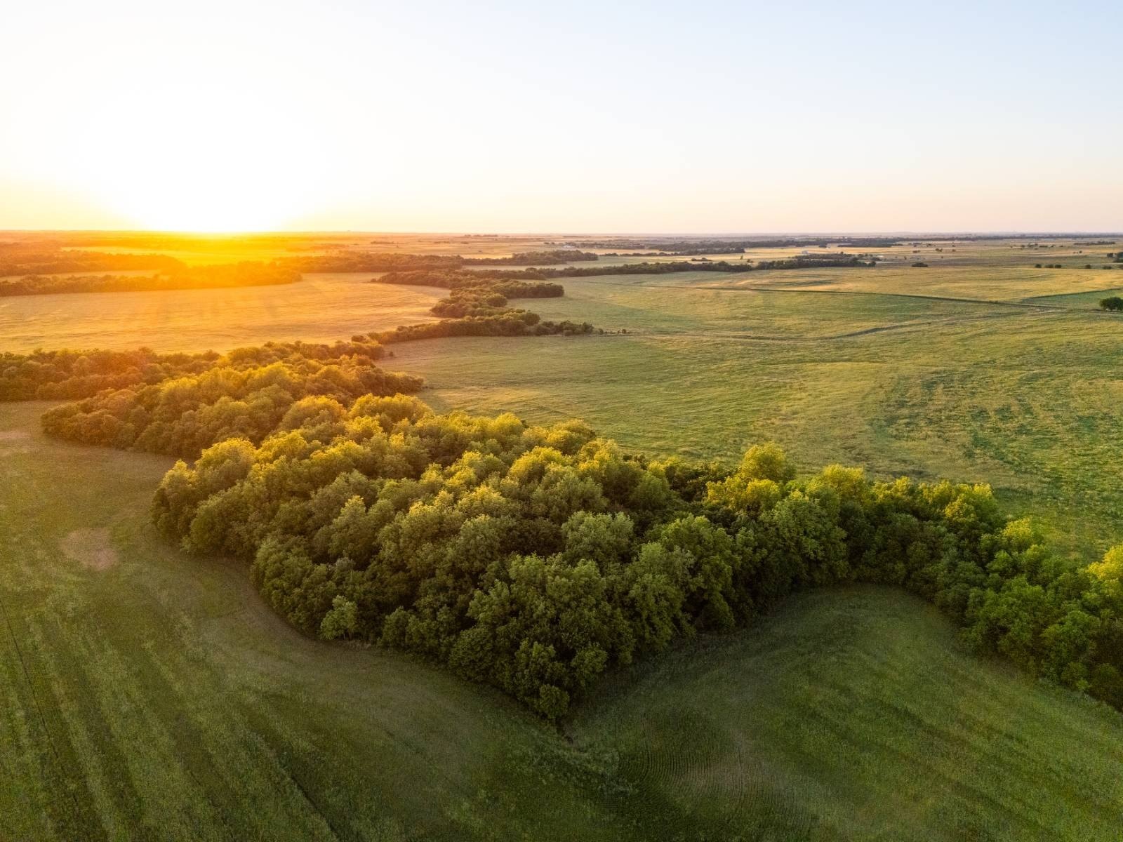 Productive Farmland with Hunting Potential