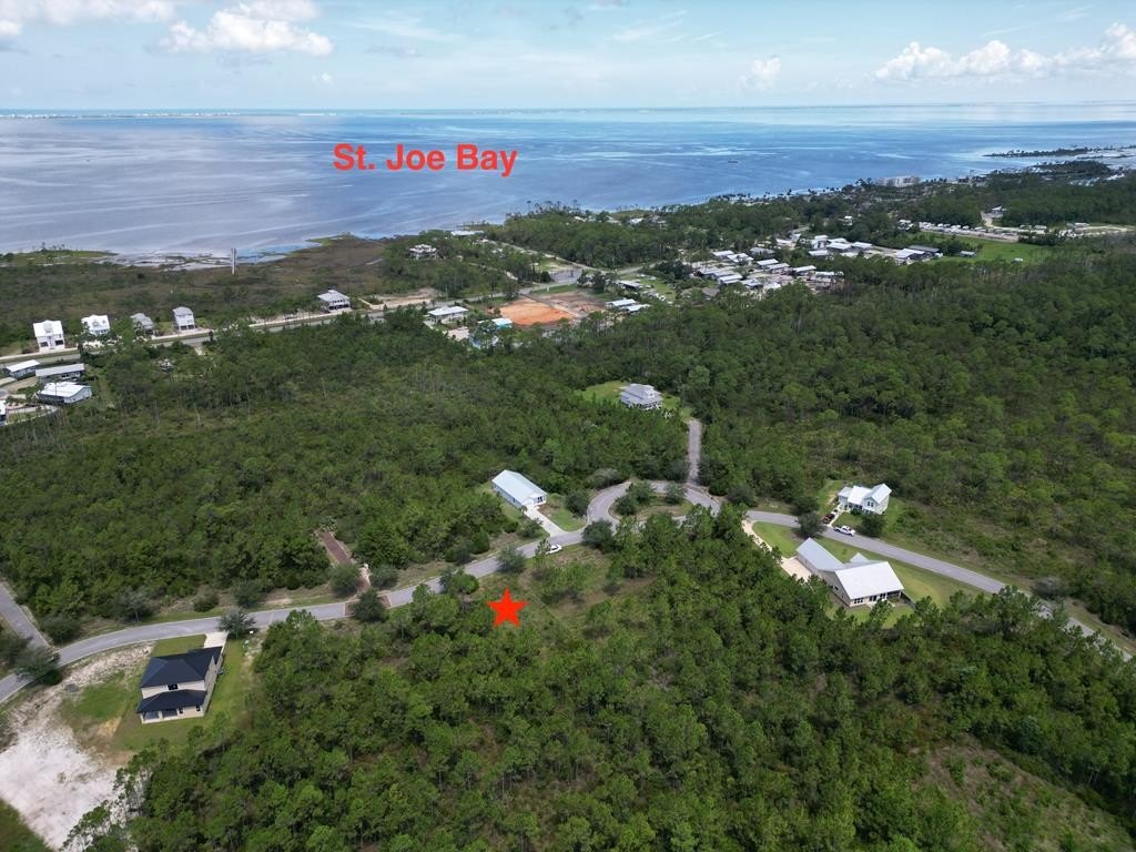 Double Lot in Shallow Reed