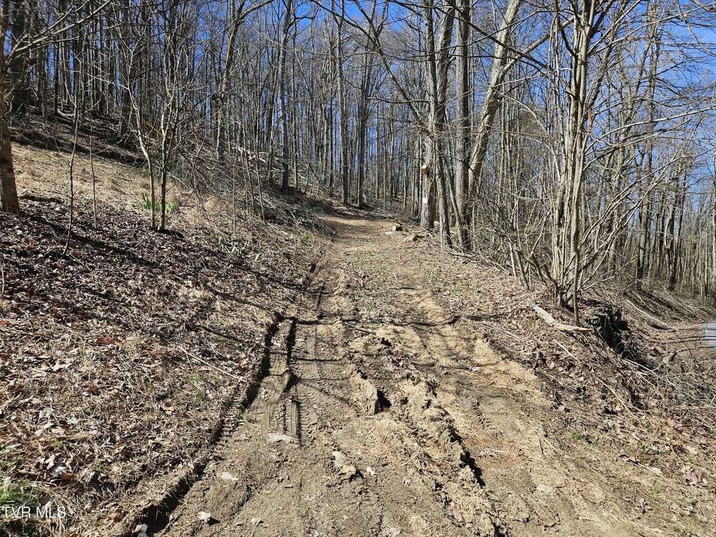 Picture 2