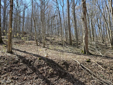 Land, Chilhowie, VA