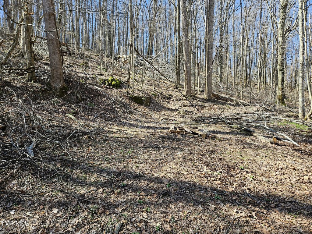 Picture 3