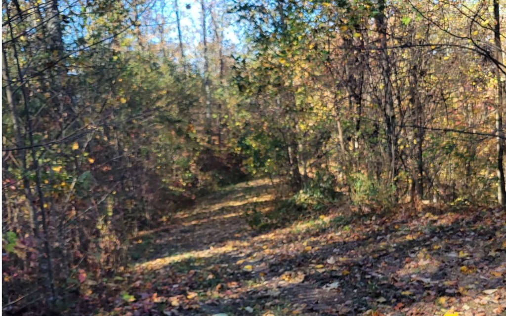 Picture 3