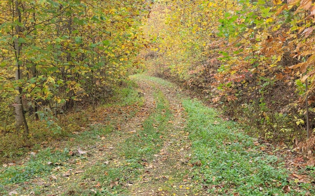 Picture 2