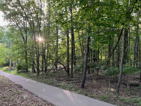 LAND - Grand Rapids, MI