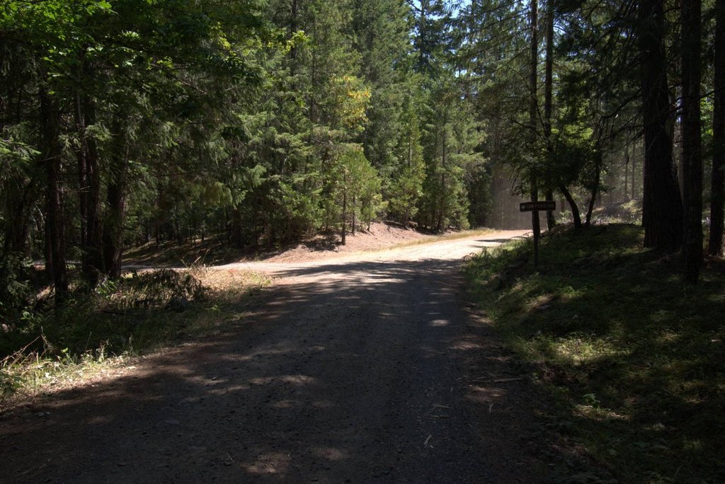 Picture 32