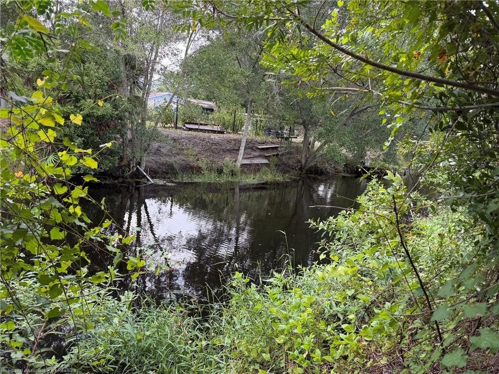 Picture 8