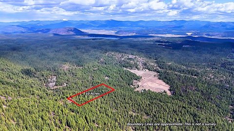 Recreational Timber Land Parcel