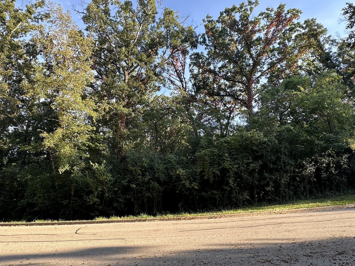 Residential Lot in Established Subdivision