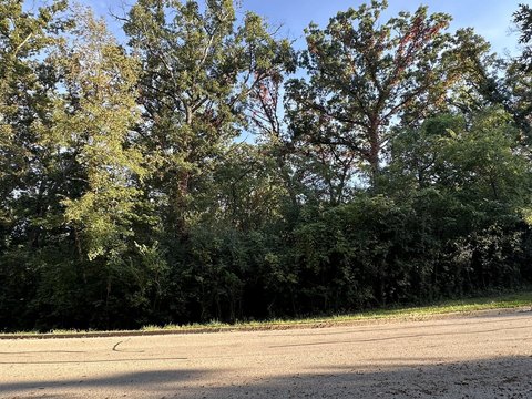 Residential Lot in Established Subdivision