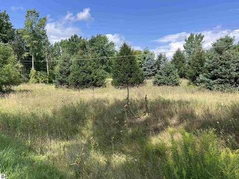 Vacant Lot/Land, Mt Pleasant, MI