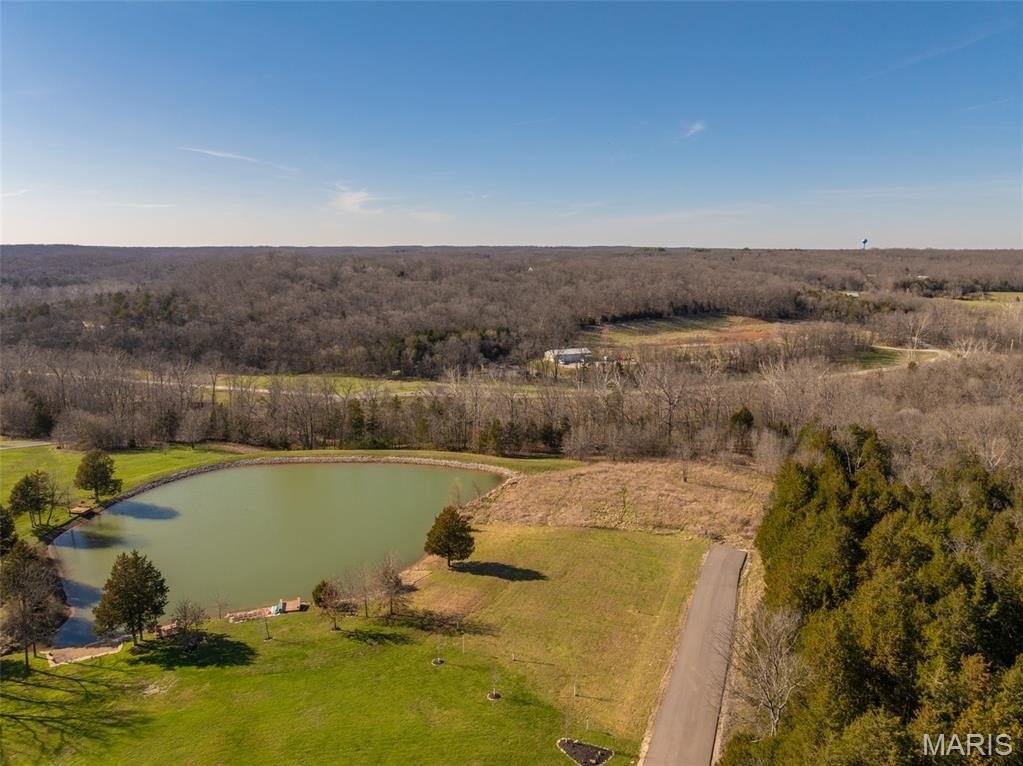 Lakefront Lot in Innsbrook Resort
