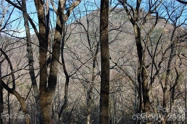 Lake Lure Land with Views