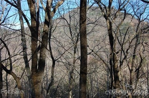 Lake Lure Land with Views