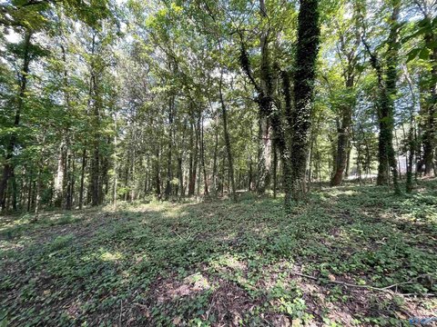 Gadsden, AL Building Lot