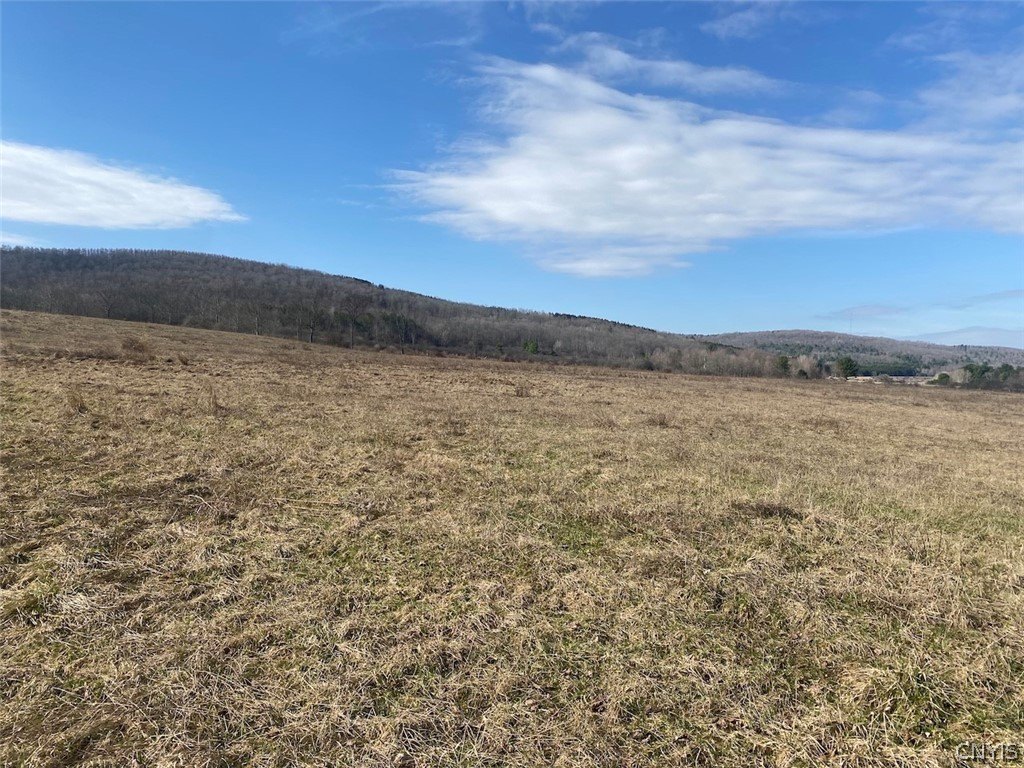 Diverse Acreage with Valley Views
