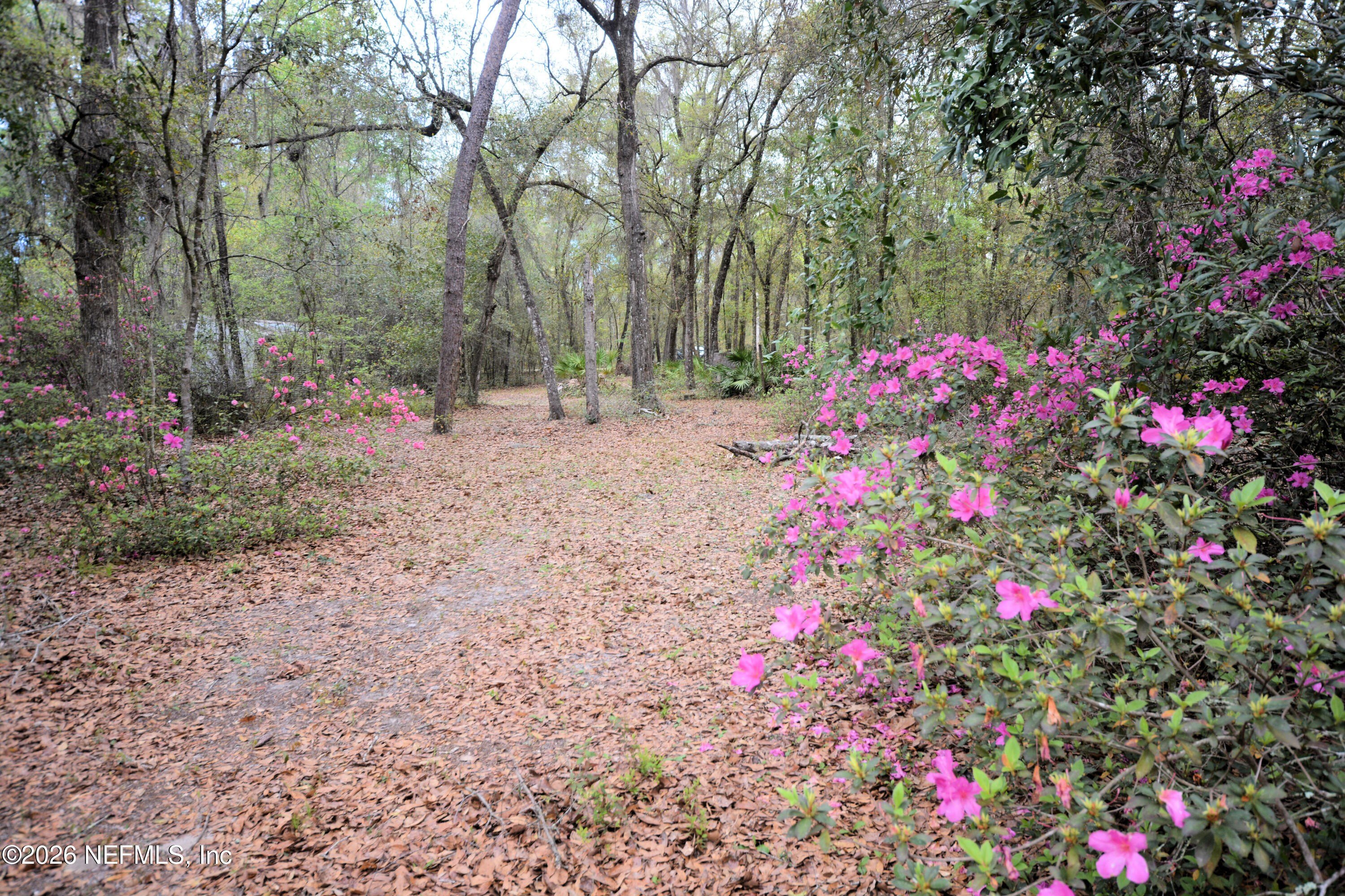 Land in Florahome Ready-to-Go Homesite