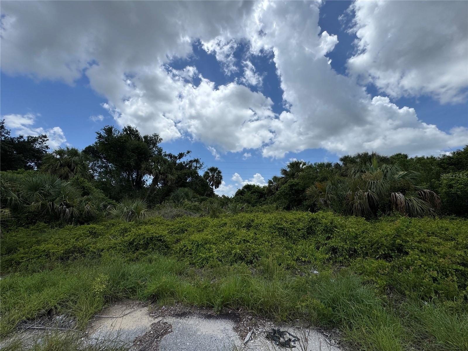 Residential Lot Near Cocoplum Waterway