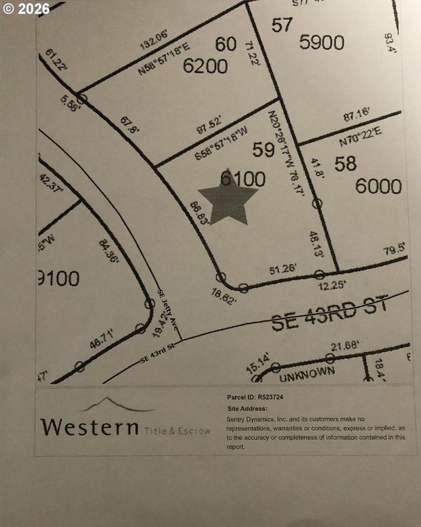 Picture 5