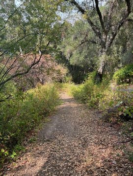 Residential Lots & Land, CARMEL VALLEY, CA
