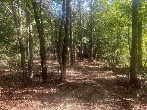 LAND - Amity, AR