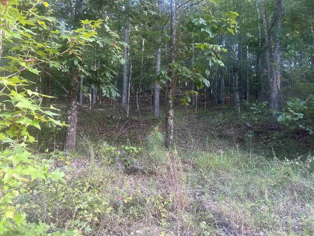 Picture 21