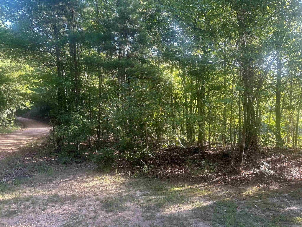 Picture 20