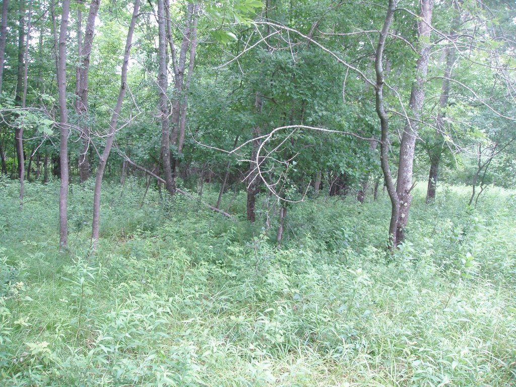Picture 5