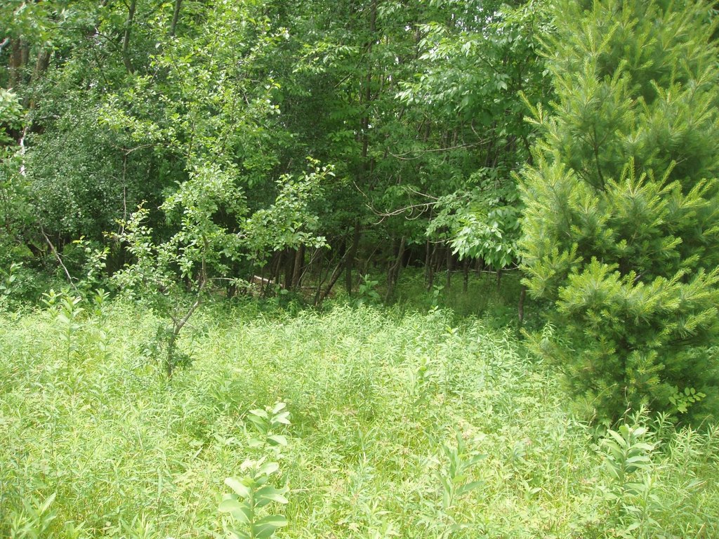 Picture 2